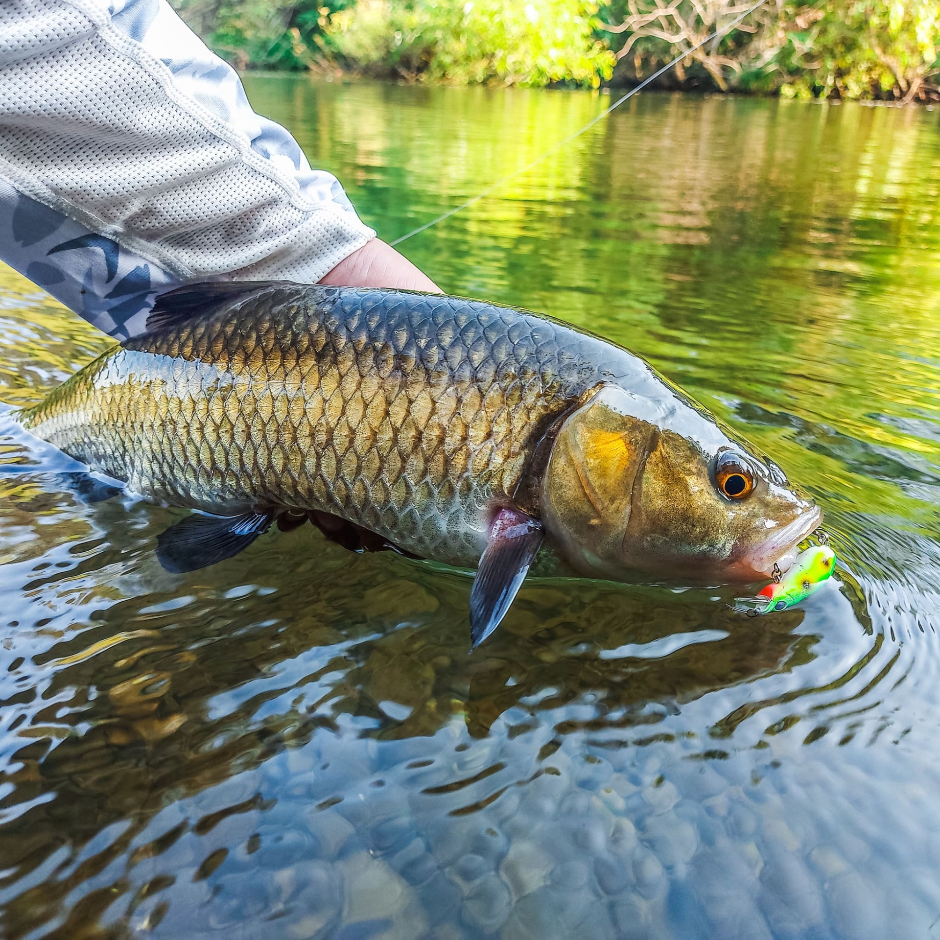 Why choose Last Cast CC38?