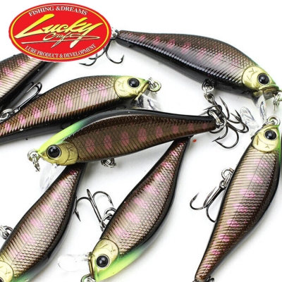 Lucky Craft Pointer 50S Hard lure