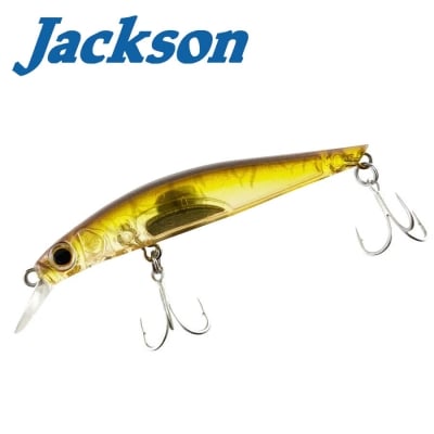 Jackson Artist FR70 WDS