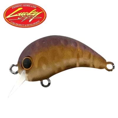 Lucky Craft Wah 26HF Bresha Neo