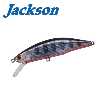 Jackson Meteora 52 SMY
