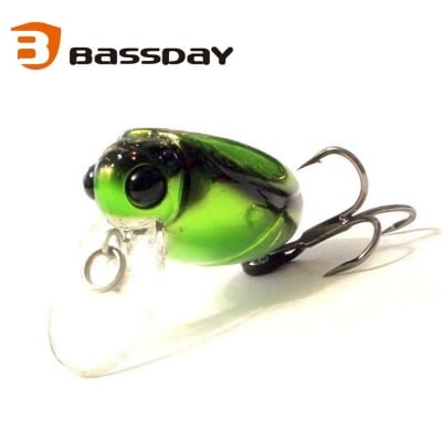 Bassday Bun 30F #343