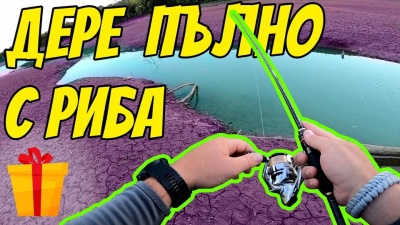 Не очаквах да има риба тук.Разбихме щуките с повърхностни примамки.Хващаме костури с Mud Digger