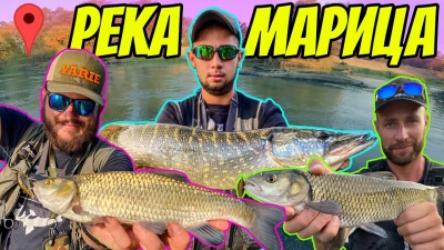 Река Марица.Риболов с приятели на спортни кефали и бонус щука