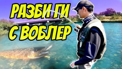 Шарани ядат чипс! За пъстърви с Боян Ярков. Съвети за риболов с воблер на река. Тестваме нещо ново