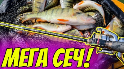 Мега сеч! Дърпам по 3 костура в минута. Риболов на костур на язовир Александир Стамболийски