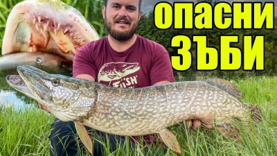 Захапа ме голяма щука!!Разбиващ риболов на свирепи хищници