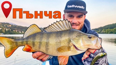 Гигантите на София.Огромни костури и няколко щуки на спининг.Риболов на Панчарево