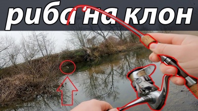 Риболов на кефал и щука през януари