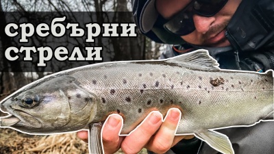 Паднах в реката.Разбиващ риболов на пъстърва на река Златна панега