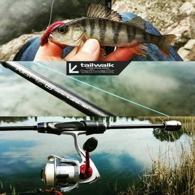 Tailwalk Ajist TZ 69