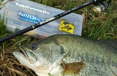 Tailwalk Salty Shape Dash Seabass Game 83MH