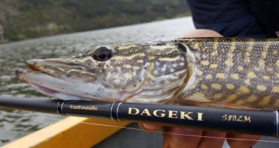 DAGEKI В търсене на универсалната въдица!