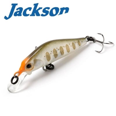 Jackson Kanade 50S GCY