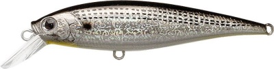 Lucky Craft Pointer 78 SW Spotted Shad - Konoshiro
