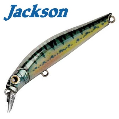Jackson Artist FR70 Vairon