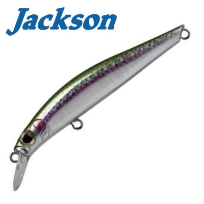 Jackson Artist FR80 RN
