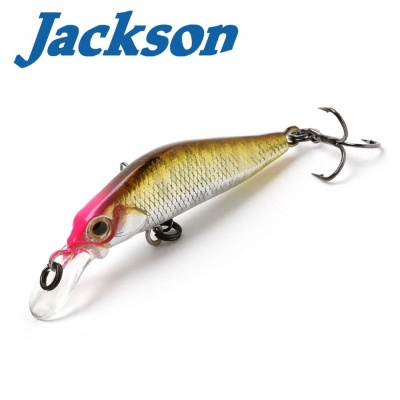 Jackson Kanade 40S STB