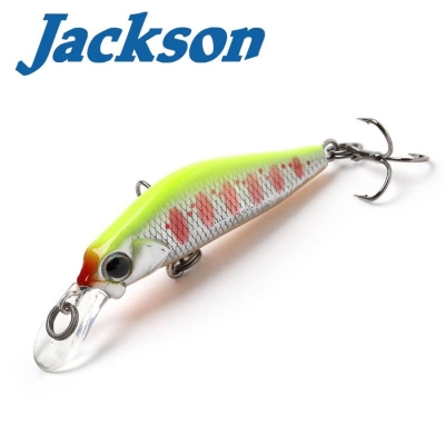 Jackson Kanade 60S WCY