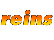 Reins силиконови примамки