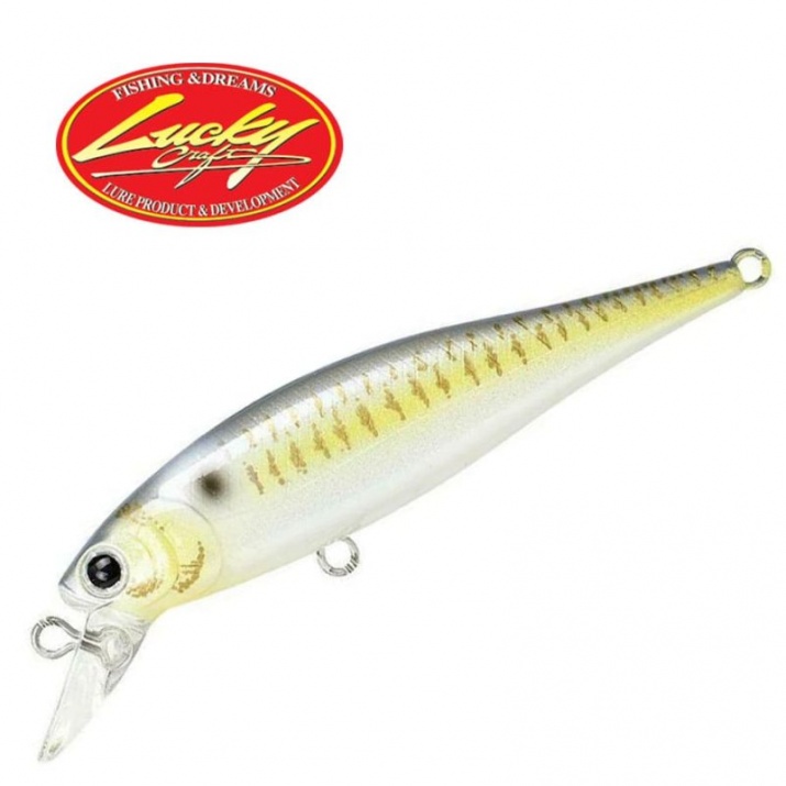 Lucky Craft Pointer SP Lure