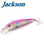 Jackson PY Shallow Minnow Hard lure