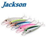 Jackson PY Shallow Minnow Hard lure