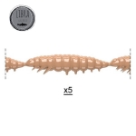 Libra Larva Multi 12.5cm Silicone lure larva