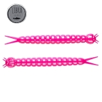 Libra Slight Worm 38 - 019 - hot pink limited edition / Cheese