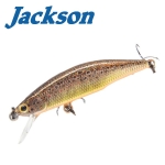 Jackson Meteora 52 BT