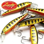 Lucky Craft Pointer 65 SP Brown Trout