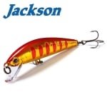 Jackson Athlete 55SFH