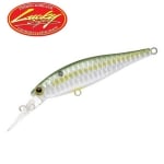 Lucky Craft Pointer 65 DD