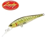 Lucky Craft Pointer 65 DD