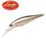 Lucky Craft Pointer 65 DD