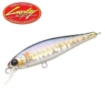 Lucky Craft Pointer 48 SP MS American Shad