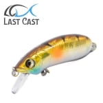 Last Cast CC38 #12