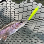 T.H. Tackle | Tailwalk Silverna Taki Nyoro 60mm Hard lure