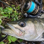 Sunline Siglon PE ADV X8 Blue 150m Braided line