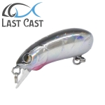 Last Cast CC28 F Hard lure