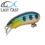 Last Cast CC28 F Hard lure