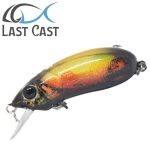 Last Cast CC38 F Floating Hard lure