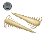 Libra Slayzur 55 Soft lure