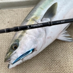 Tailwalk Paddlerna Spinning rod