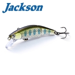 Jackson Meteora Joint 49 Hard lure