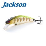 Jackson Meteora Joint 49 Hard lure