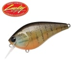 Lucky Craft LC 2.5 Hard Lure