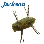 Jackson Mushiiiin 