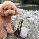 Tailwalk Outback Puppy Travel spinning rod