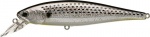 Lucky Craft Pointer 100 Salt Water